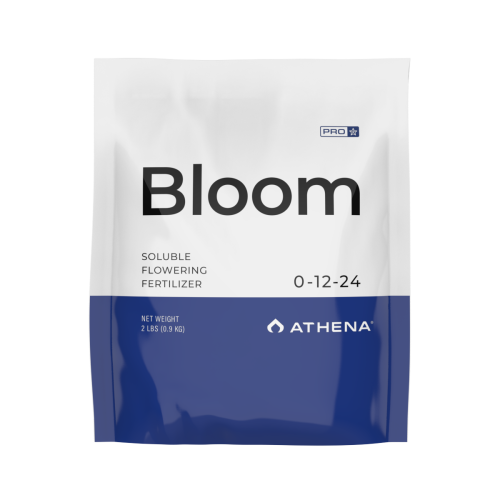 Athena Bloom 2 Pound